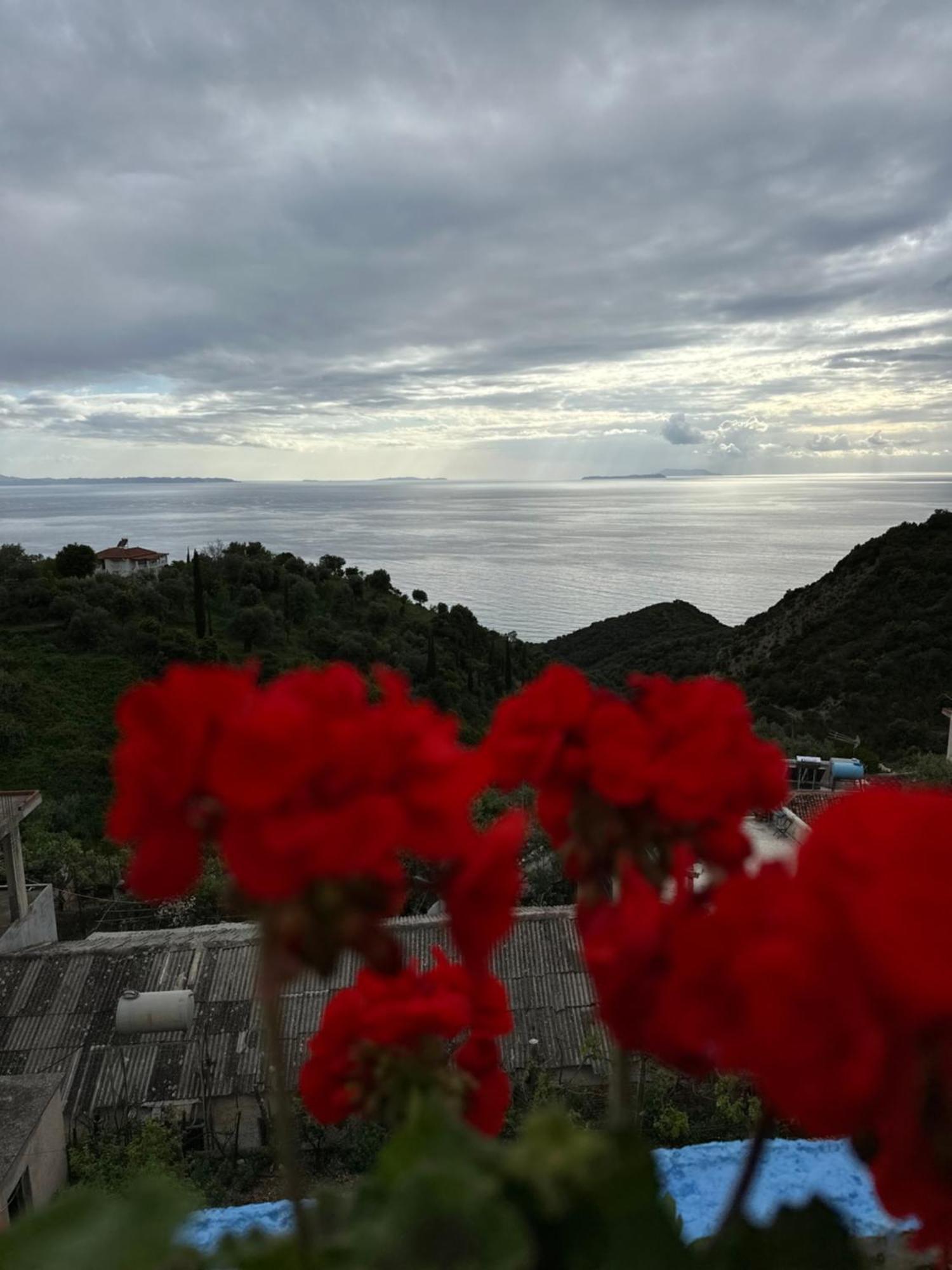 Selami Sea View Apartments Lukovë Eksteriør billede