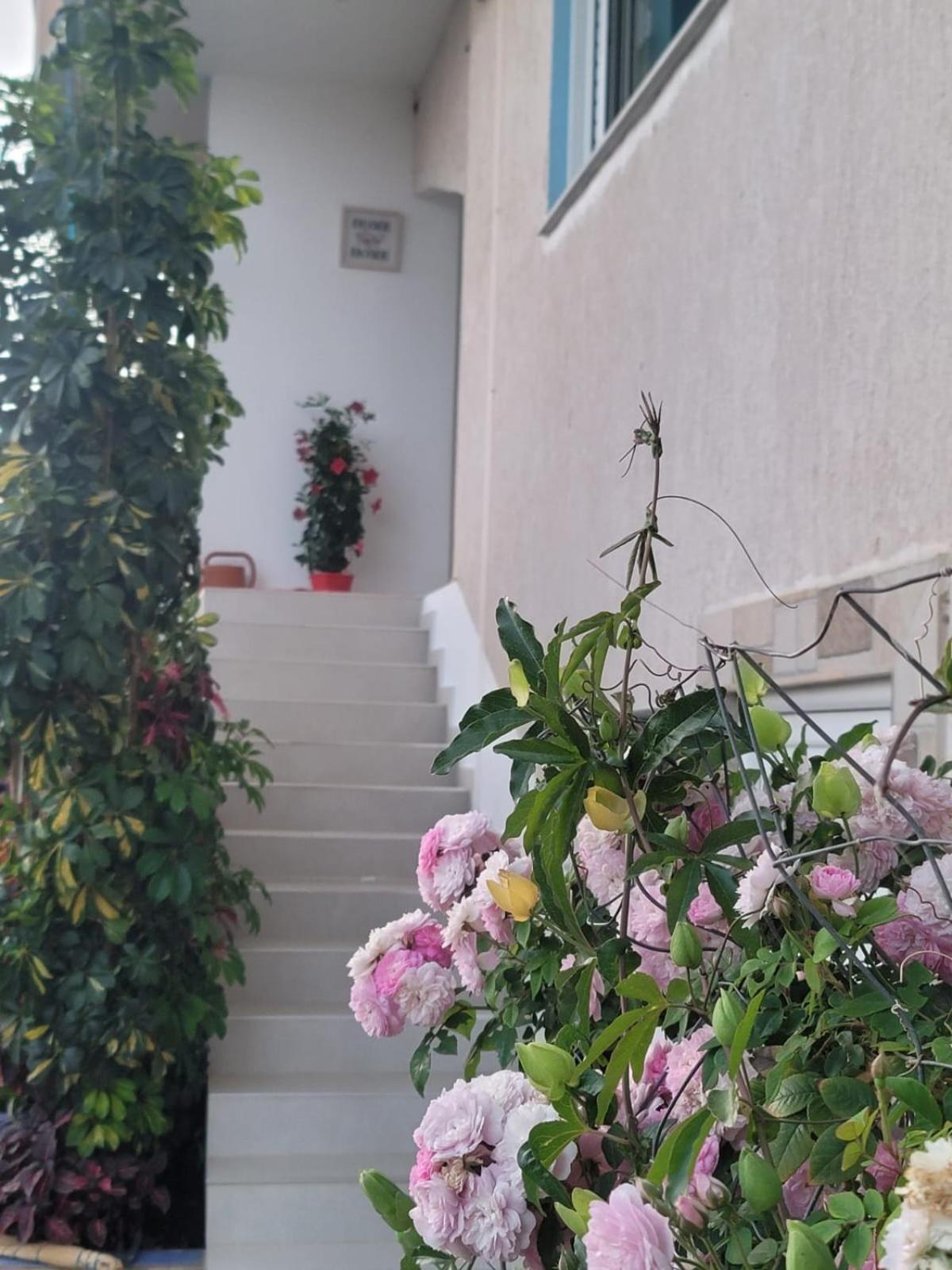 Selami Sea View Apartments Lukovë Eksteriør billede